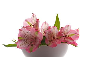 Image showing Bunch of Alstroemeria