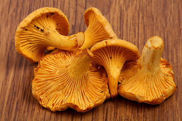 Image showing Heap of  Chanterelle