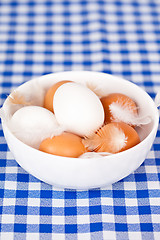 Image showing eggs and feathers in a bowl 