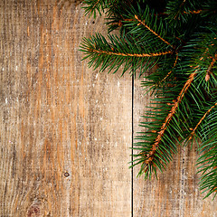 Image showing christmas fir tree 