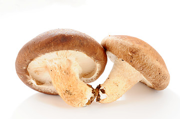 Image showing Mushroom