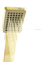 Image showing Shower nozzle