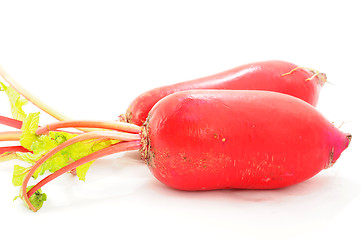 Image showing Carrot