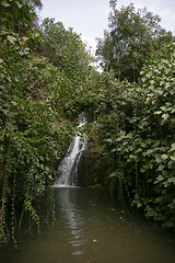 Image showing Waterfall in Israeli galilee