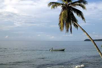 Image showing TROPICAL SEA VIEW