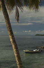 Image showing TROPICAL SEA VIEW