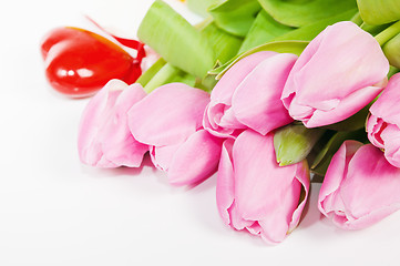 Image showing Pink tulips, it is isolated on white