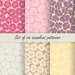 Image showing Set of six vector seamless flower patterns