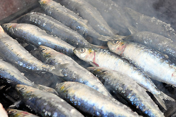Image showing Grilled Sardines