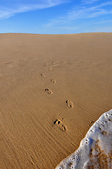 Image showing Footprints Going Out of Ocean