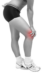 Image showing Knee Pain