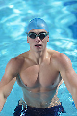 Image showing swimmer