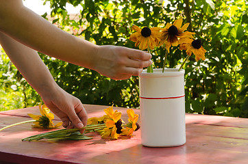 Image showing Woman hands put rudbekia flowers in white vase 