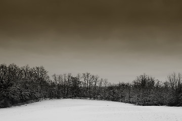 Image showing Snow Landscape #1