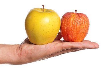 Image showing Hand with apple