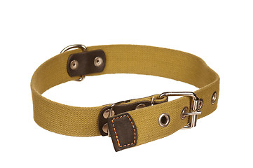 Image showing Dog collar