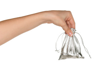 Image showing Hand with money bag