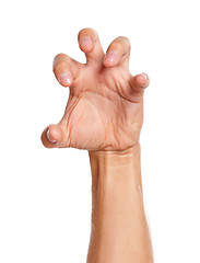 Image showing Man hand