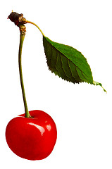 Image showing Sweet cherries