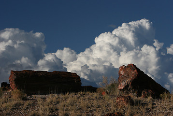 Image showing Arizona Natural Park