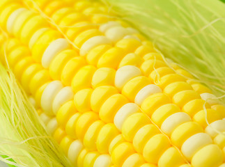 Image showing corn cob