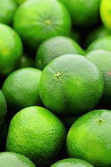 Image showing lime citrus fruit