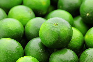 Image showing lime citrus fruit