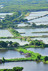 Image showing Fish hatchery pond