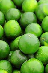 Image showing lime citrus fruit