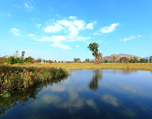 Image showing wet land