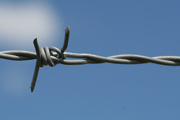 Image showing Barbed wire