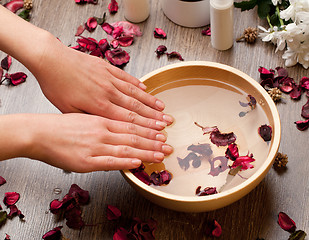 Image showing spa for hands