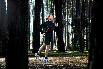 Image showing Runing in the forest