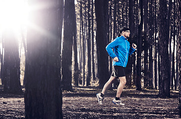 Image showing Runing in the forest