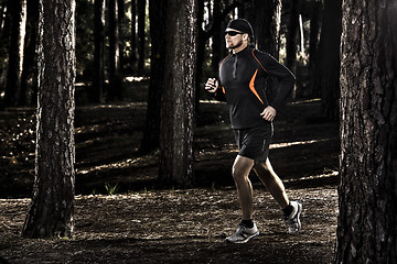 Image showing Runing in the forest