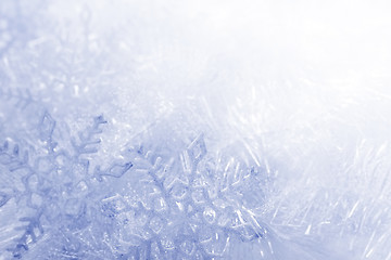 Image showing Snowflakes background