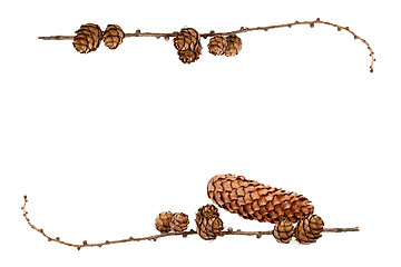 Image showing simple natural frame with pine cones