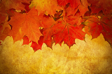 Image showing grunge red autumn leaves frame