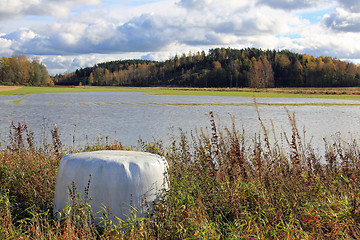 Image showing Autumn Flooding in Finland
