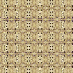 Image showing Vintage shabby background with classy patterns.