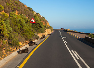 Image showing Baboons on the roadside