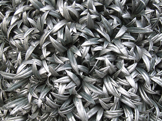 Image showing Steel leaves abstract