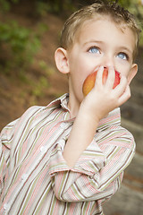 Image showing Adorable Child Boy Eating Red Apple Outside