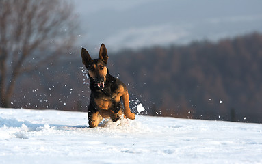 Image showing Fun in the snow