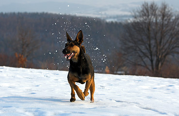 Image showing Fun in the snow