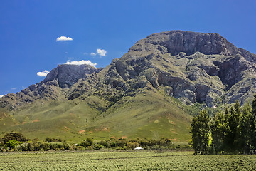 Image showing Beautiful Landscapes of South Africa