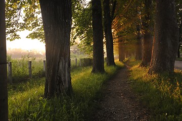 Image showing sunrise in beautiful alley