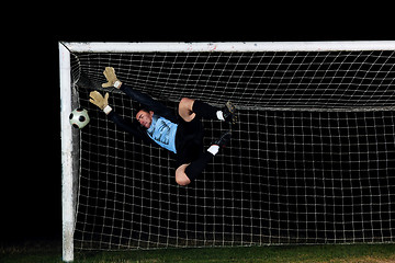 Image showing goalkeeper