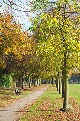 Image showing Park in Autumn