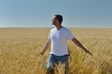 Image showing man in wheat field